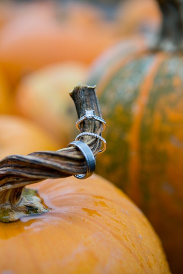 Fall wedding ideas 2026